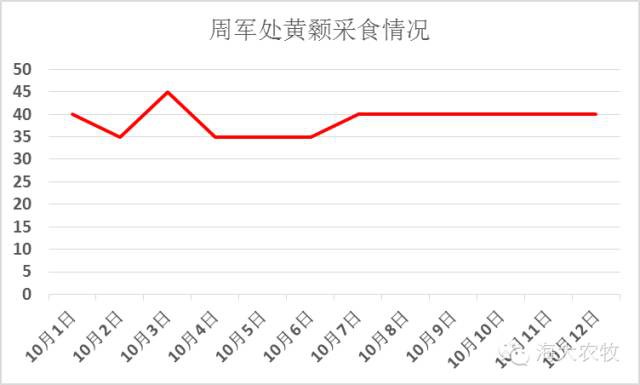 按此在新窗口瀏覽圖片